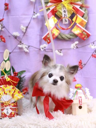 20230115クラウディアちゃん